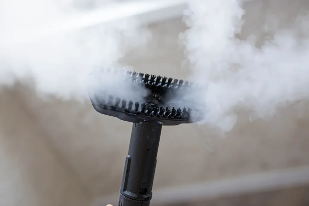 The Health Benefits of Steam Cleaning Your Carpets